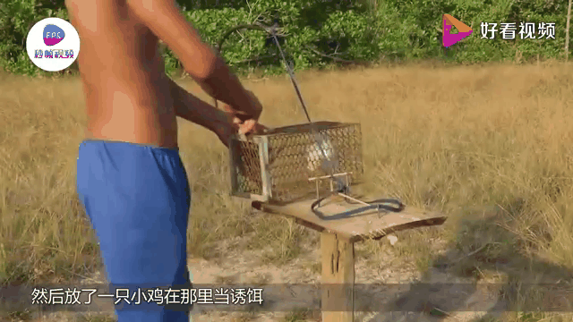 关于莎拉波娃关键节点惊险取胜，老鹰带队取胜！的信息-JIUYOUHUI